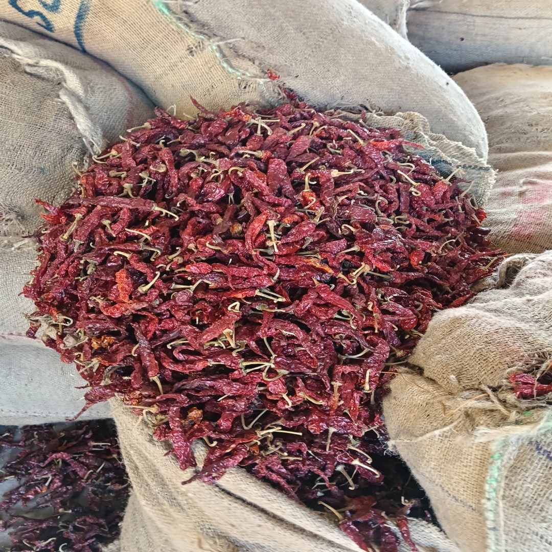 Spice Processing Chillies